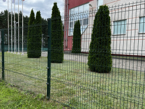 Купить секционный забор Забор секционный из сетки 1,73x2,5м в полимере Fine дешево в Москве
